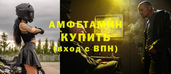 стафф Алзамай