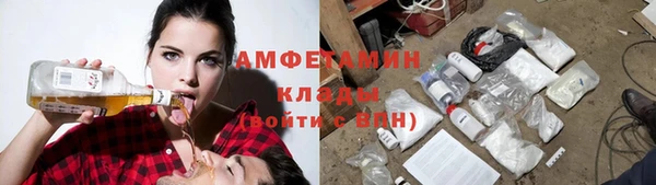 стафф Алзамай