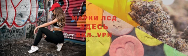 сатива Алексеевка
